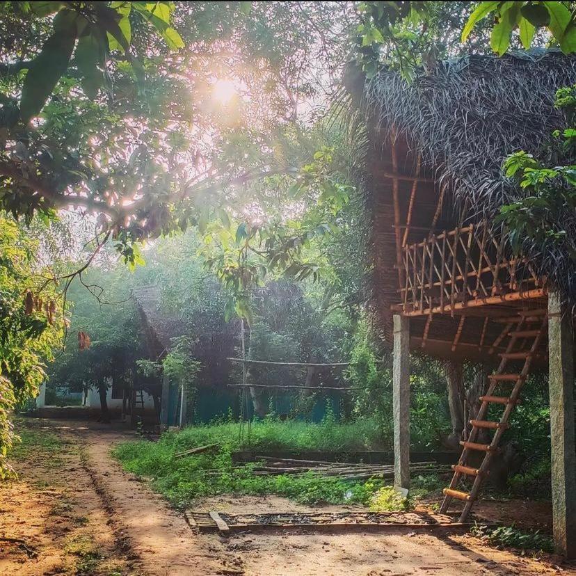 Art Forest Pondicherry Exterior foto