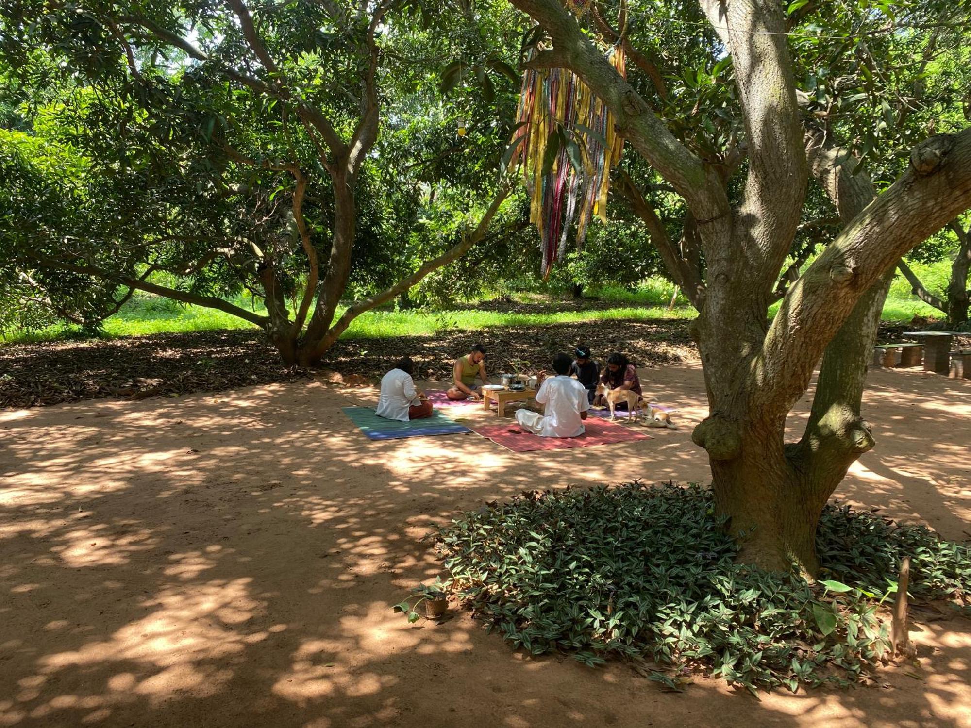 Art Forest Pondicherry Exterior foto